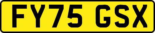 FY75GSX