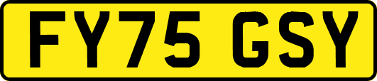 FY75GSY
