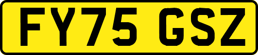 FY75GSZ
