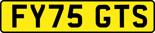 FY75GTS