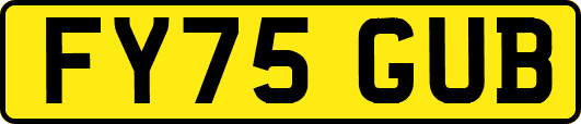 FY75GUB