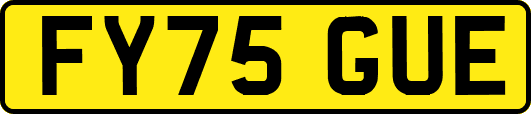 FY75GUE