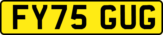 FY75GUG