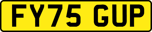 FY75GUP