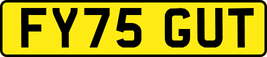 FY75GUT