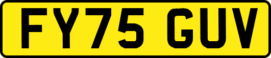 FY75GUV