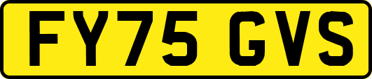 FY75GVS