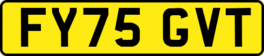 FY75GVT