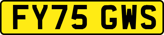 FY75GWS