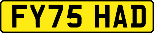 FY75HAD
