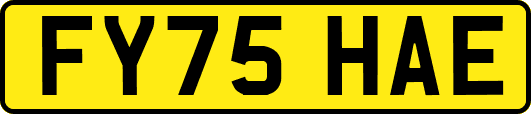 FY75HAE