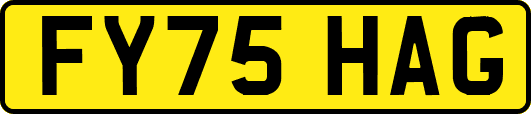 FY75HAG