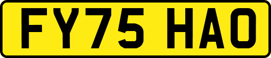 FY75HAO