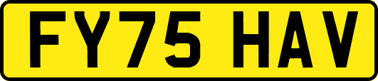 FY75HAV