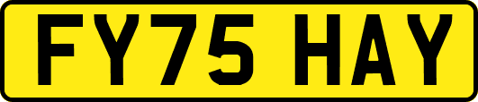 FY75HAY