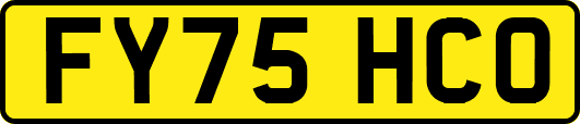 FY75HCO