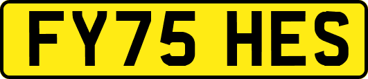 FY75HES