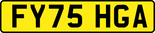 FY75HGA
