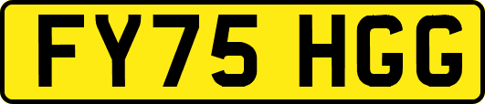 FY75HGG