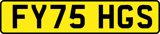 FY75HGS