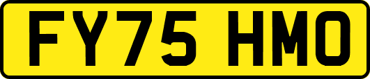 FY75HMO