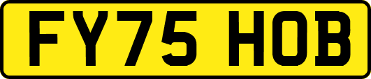 FY75HOB