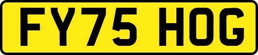 FY75HOG