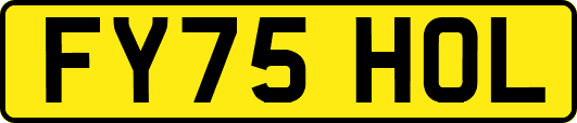FY75HOL