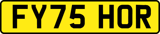 FY75HOR