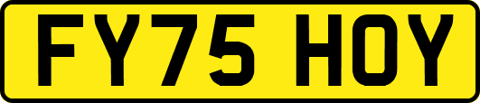 FY75HOY