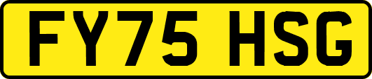 FY75HSG