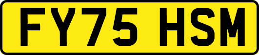 FY75HSM