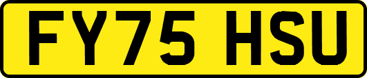 FY75HSU