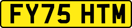 FY75HTM