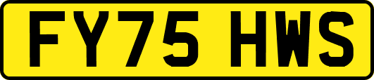 FY75HWS