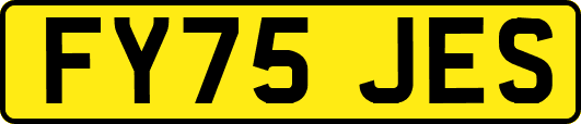 FY75JES