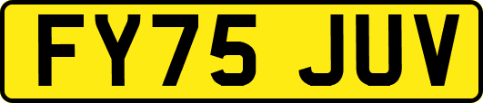 FY75JUV