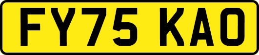 FY75KAO