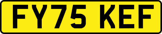 FY75KEF