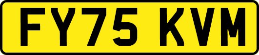 FY75KVM