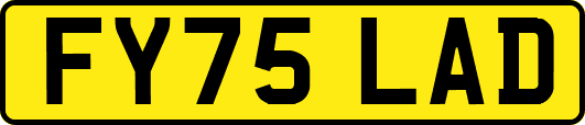 FY75LAD