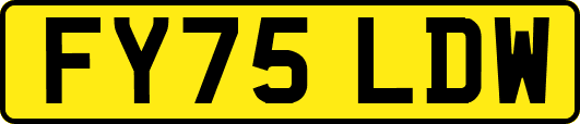 FY75LDW