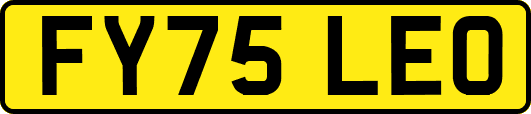 FY75LEO