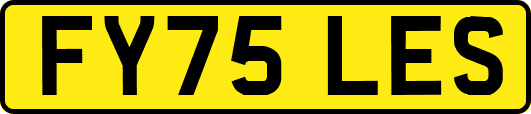FY75LES