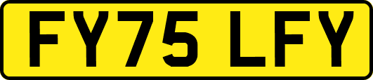 FY75LFY