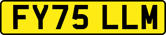 FY75LLM