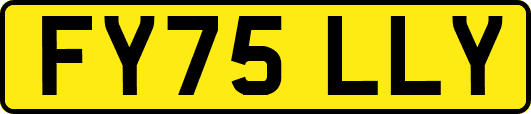 FY75LLY
