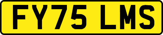 FY75LMS