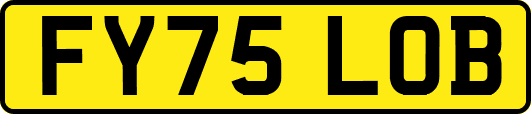 FY75LOB