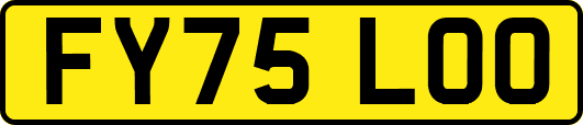 FY75LOO